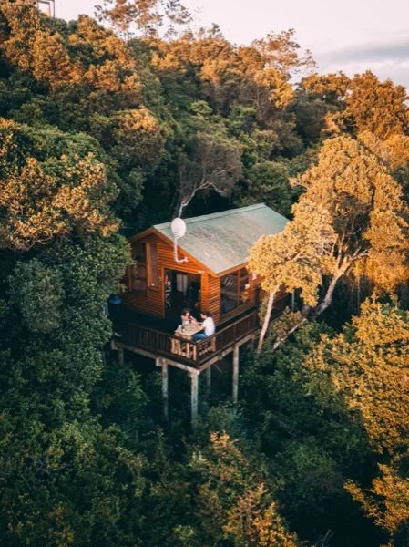 Gemütliches Baumhaus auf Stelzen mitten im Wald mit Glampern auf der Veranda